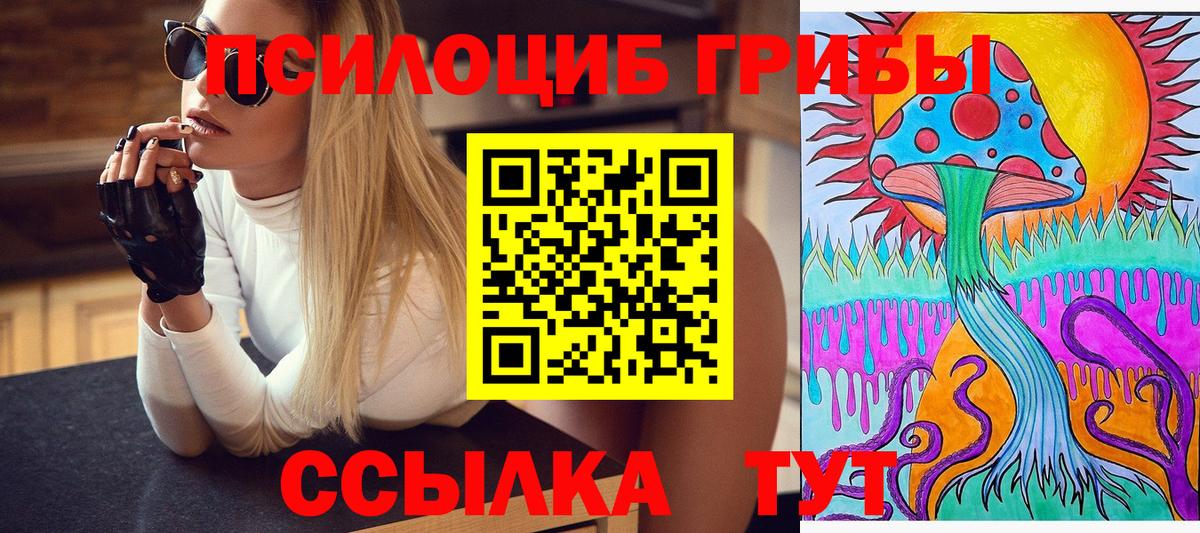 Галлюциногенные грибы Magic Shrooms Карачаевск