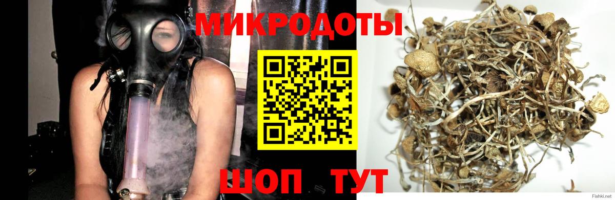 Карачаевск  Галлюциногенные грибы мухоморы  Псилоцибиновые грибы Magic Shrooms  Вход с VPN 